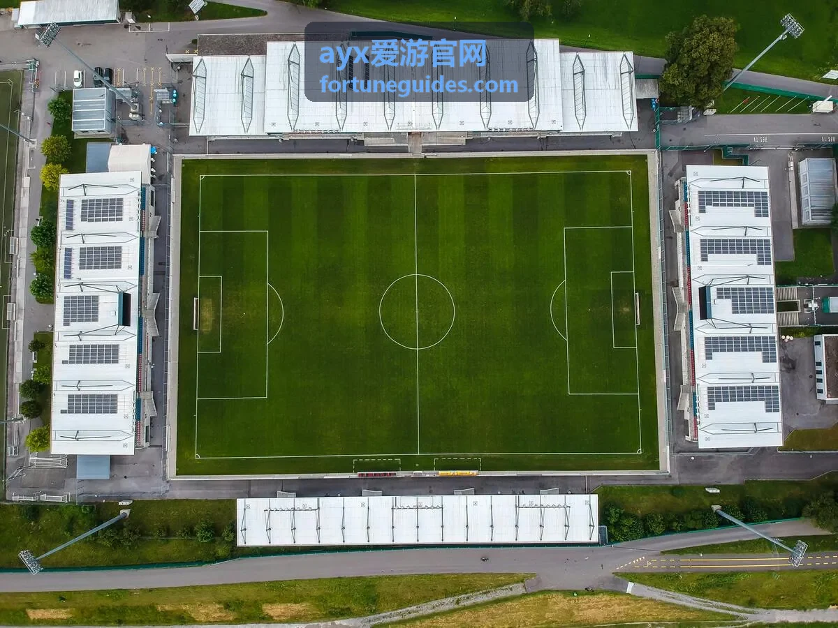 ayx爱游官网山野徒步五日的高山草甸封面