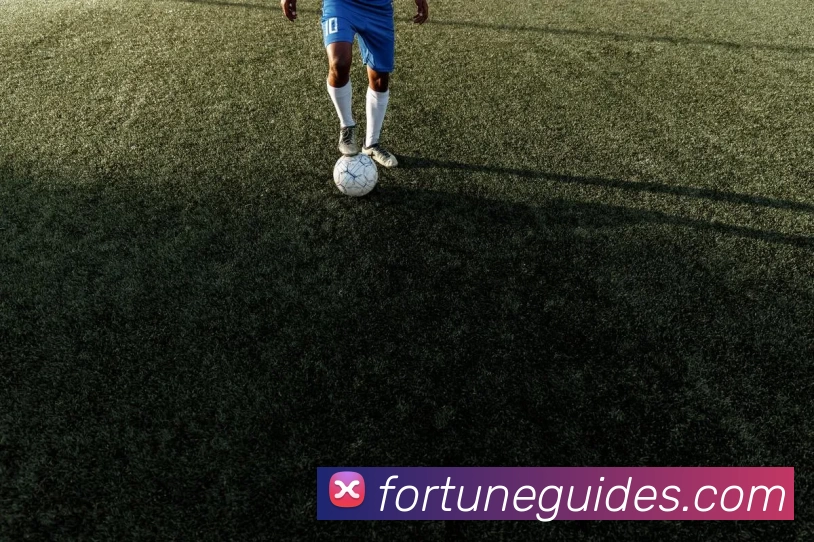 开体育app官网下载最新版平台生态图