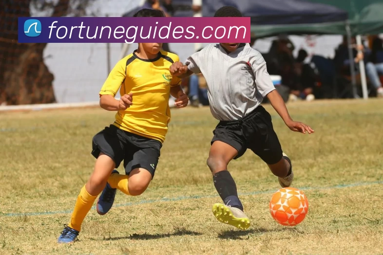 辅助工具 辅助工具